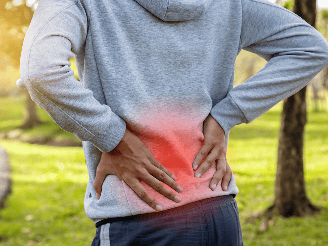 Relieve your lower back pain - Effective Tips - Luis Devos Trainer